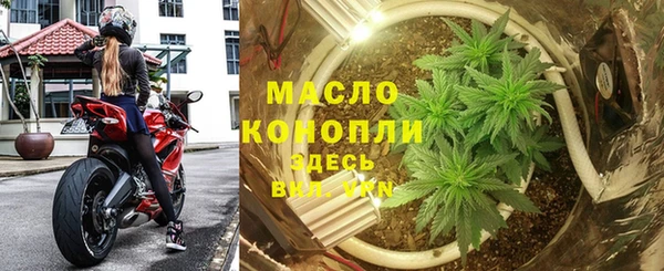 гашик Мегион