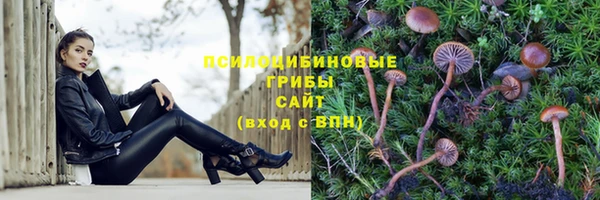 спиды Струнино