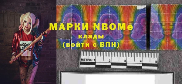 гашик Мегион