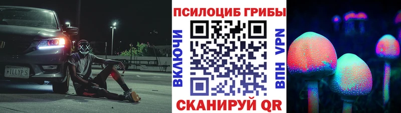 Галлюциногенные грибы Psilocybine cubensis  Калачинск 